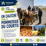 Les visites de l'été : En calèche dans la pommeraie du Courtil_Beugnies