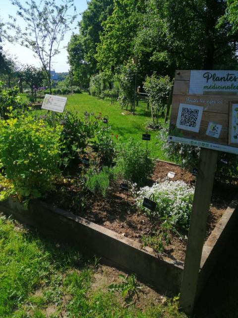 Jeu des plantes à la Ferme du Zoo_Maubeuge