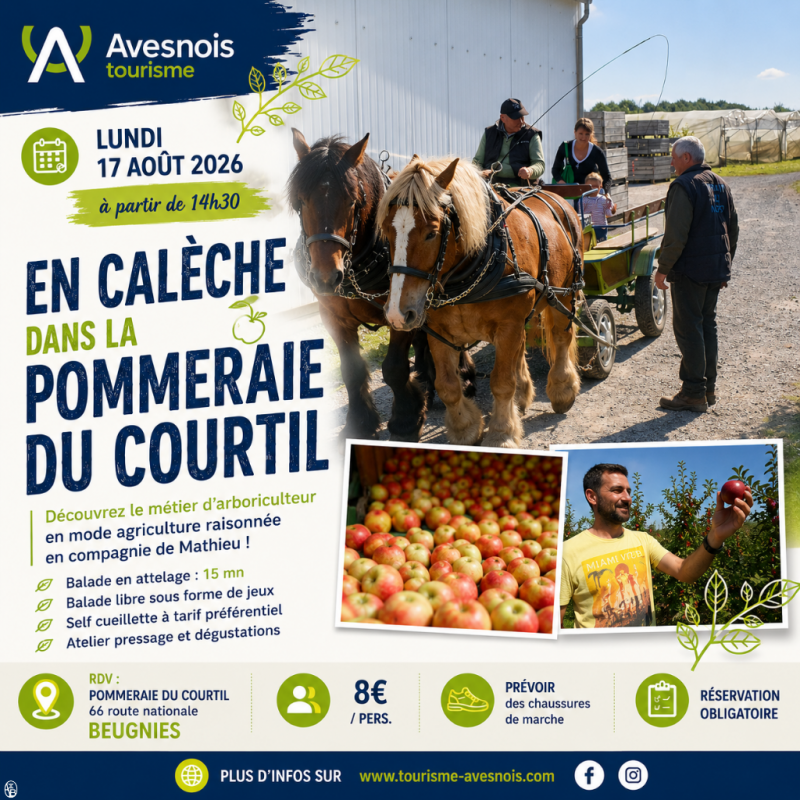 Les visites de l'été : En calèche dans la pommeraie du Courtil_Beugnies Les visites de l'été : En calèche dans la pommeraie du Courtil_Beugnies